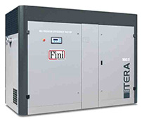 Запчасти компрессоров FINI TERA